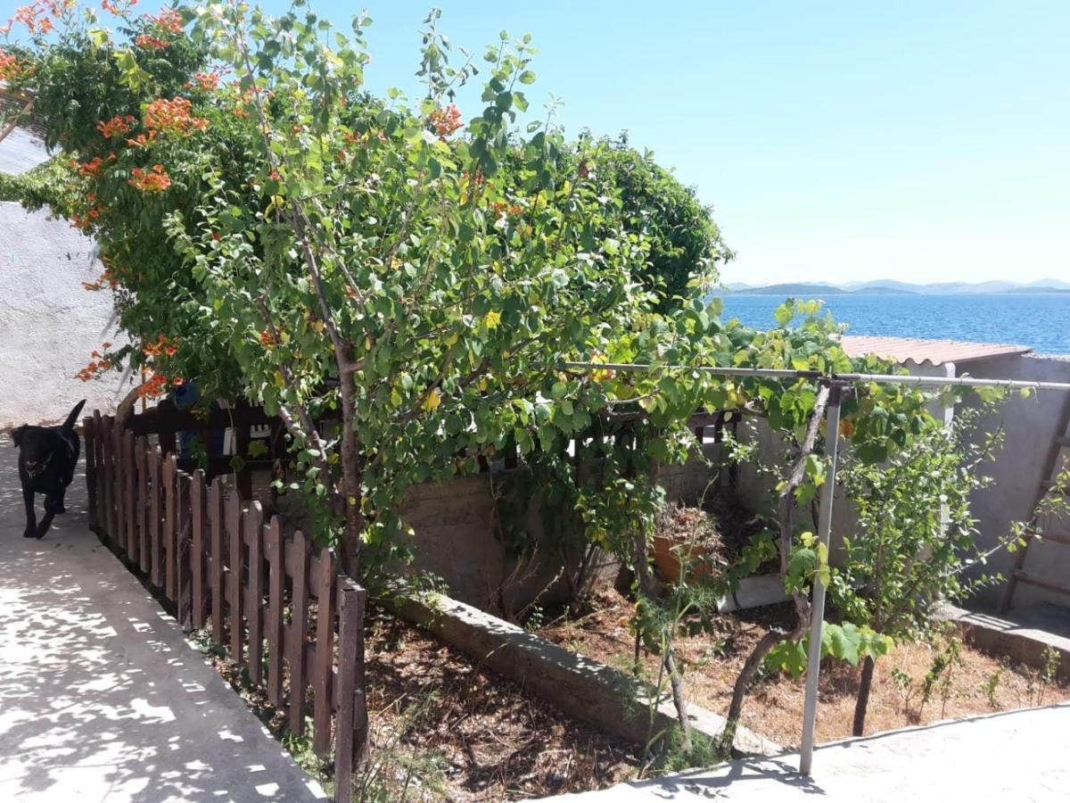 Villa Sea House Anka Banj Exterior foto